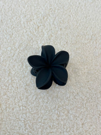 Img 7946 2